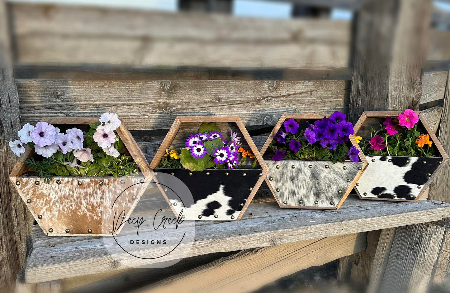 Custom Cowhide Hexagon Planter Boxes