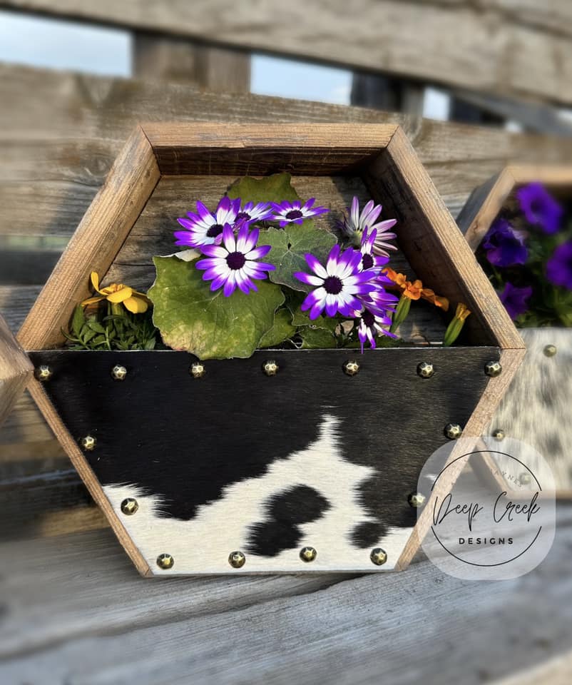 Custom Cowhide Hexagon Planter Boxes
