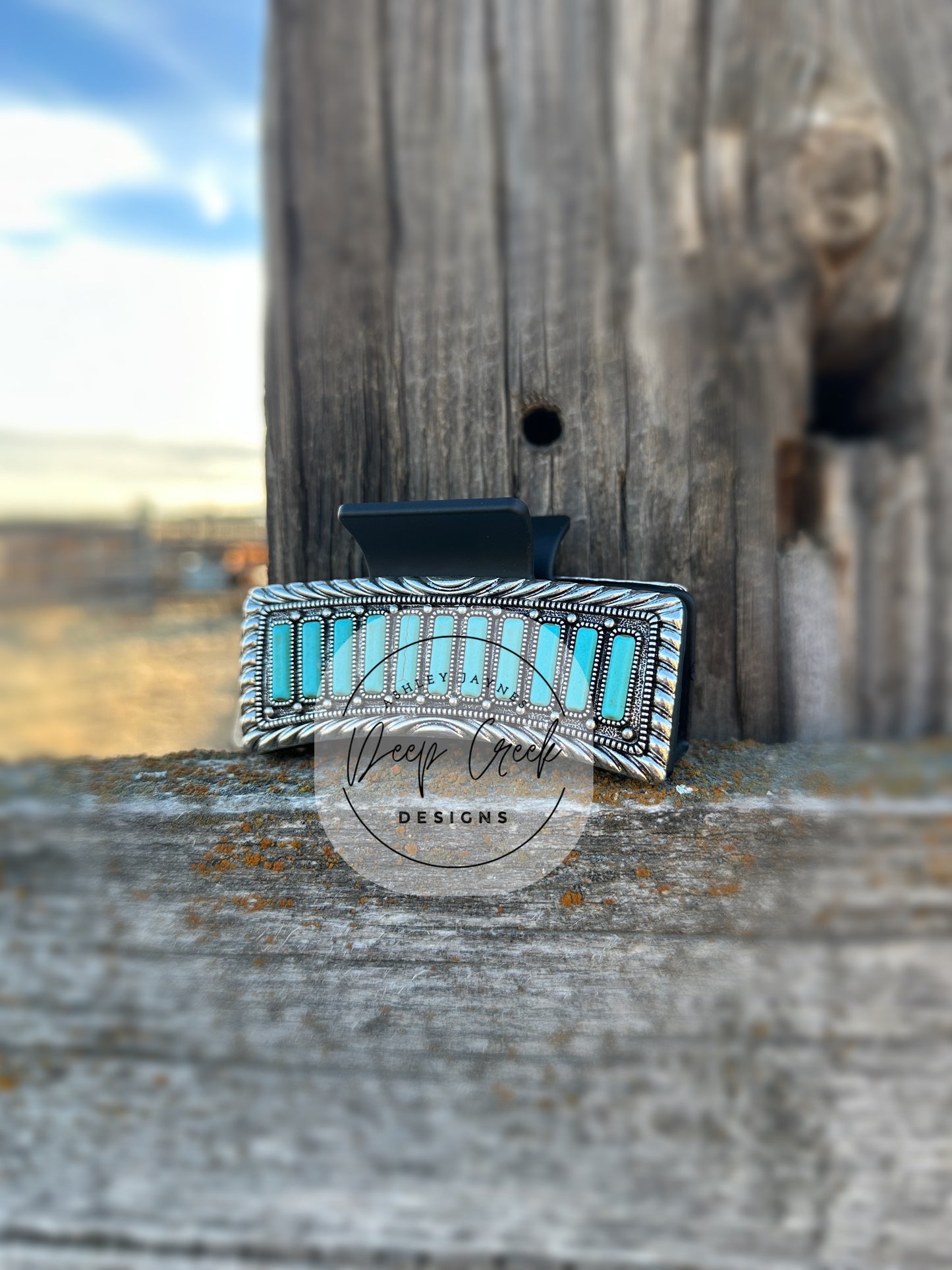 Metal Claw Clips