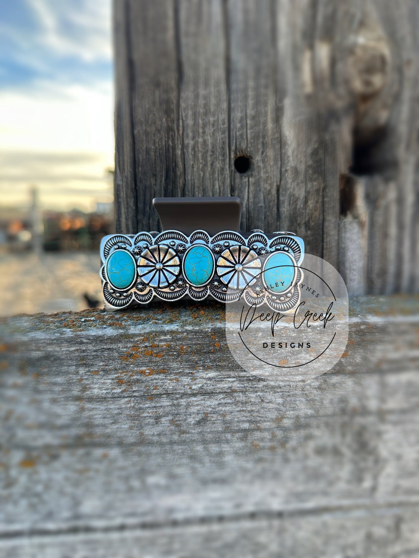 Metal Claw Clips